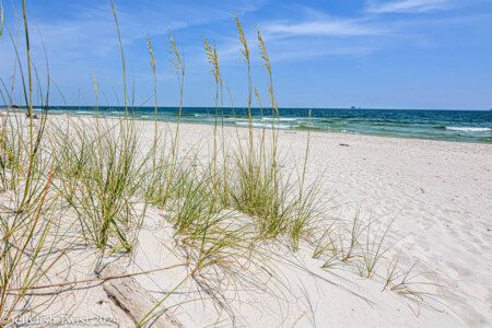 165182 419283 3ZqzpBmNHYP93SMA308uouB7T1FyZr48Jo 4J0LrML0 688d38fe5ed7c.jpg